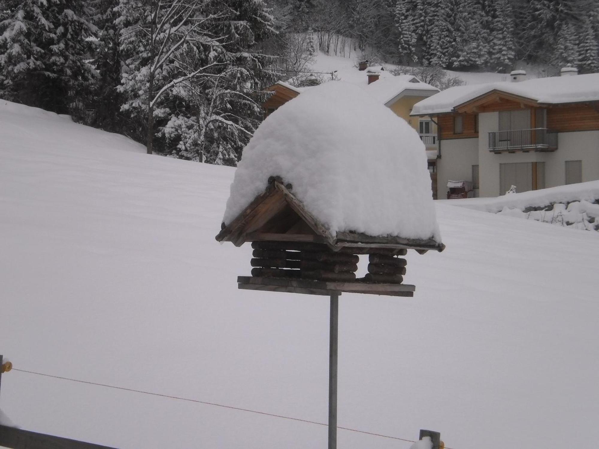 Haus Birke Daire Weissensee Dış mekan fotoğraf